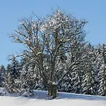Haus Allgaeu Ruh *