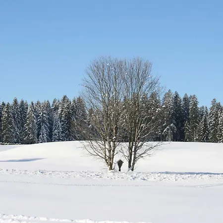 Apartment Haus Allgaeu Ruh *