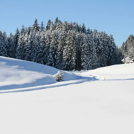 Haus Allgaeu Ruh Apartment Goerisried