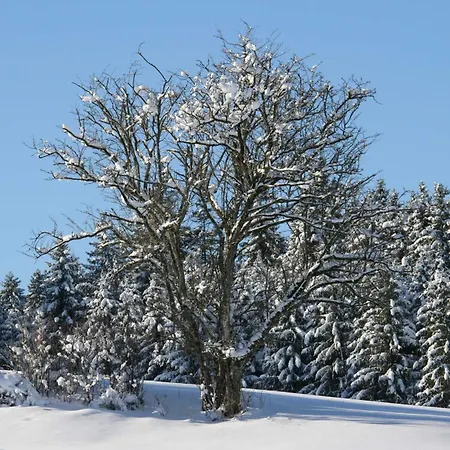 Haus Allgaeu Ruh *