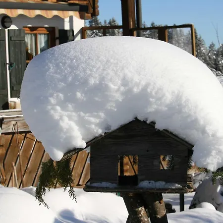 Haus Allgaeu Ruh 아파트 *