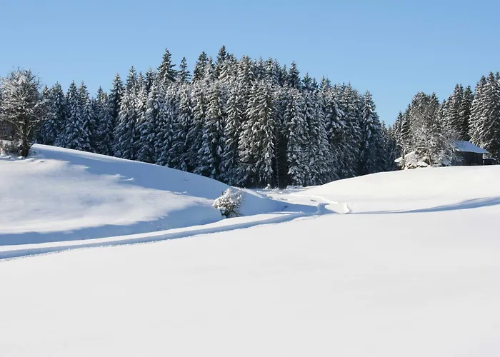 Haus Allgaeu Ruh شقة Görisried