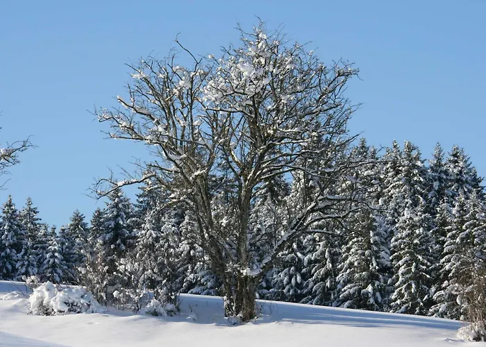 Haus Allgaeu Ruh *